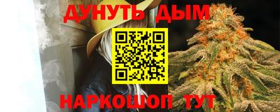 МДПВ Тула