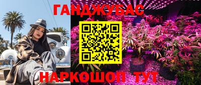 МДПВ Тула