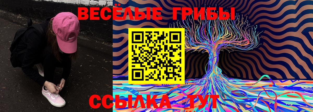 Асбест  Галлюциногенные грибы GOLDEN TEACHER  купить наркотики сайты  Вход с VPN  Псилоцибиновые грибы GOLDEN TEACHER 